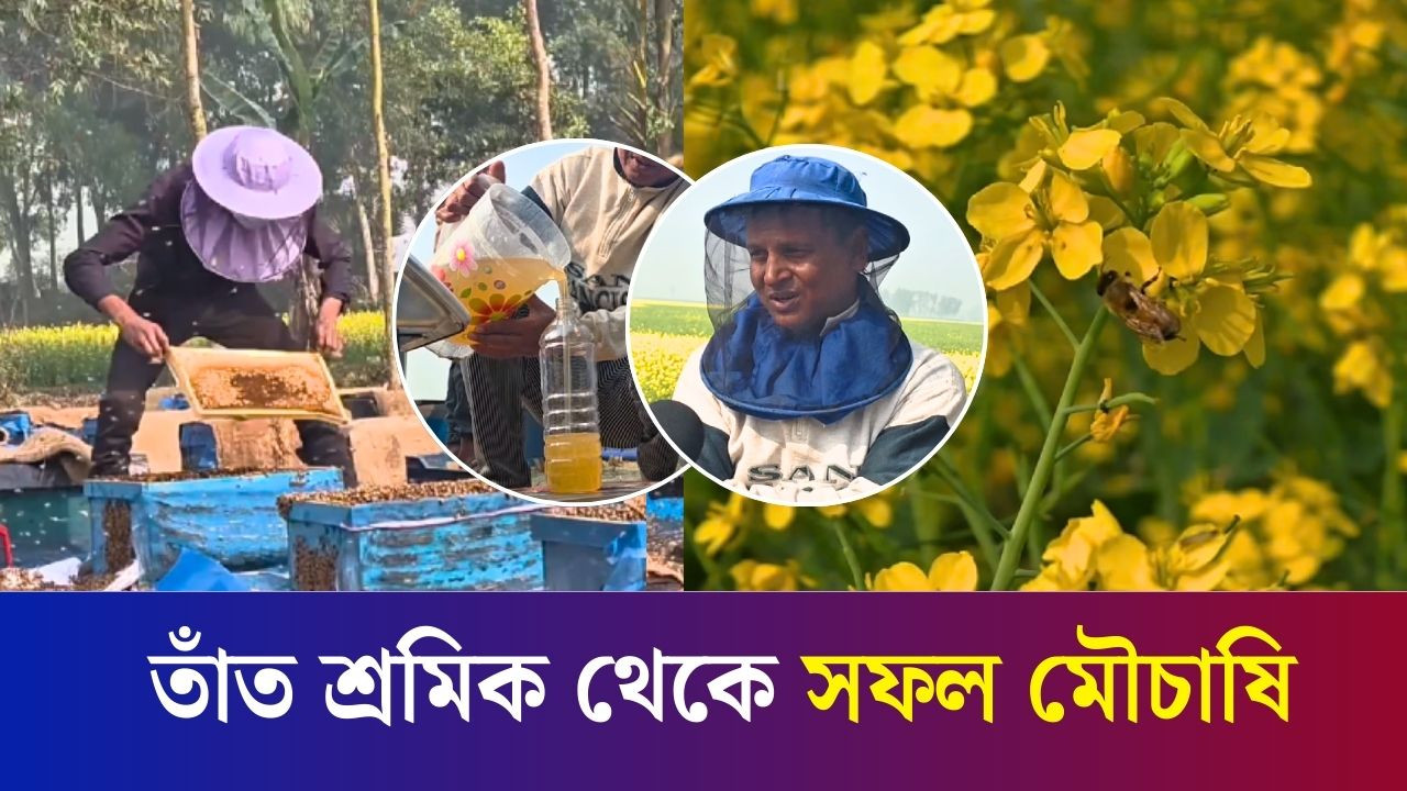 সরিষা ফুলের মৌচাষ করে এখন সাবলম্বী রায়গঞ্জের আশাদুল